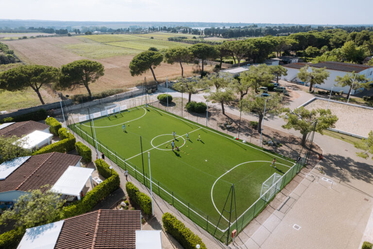 201_DJI_0186